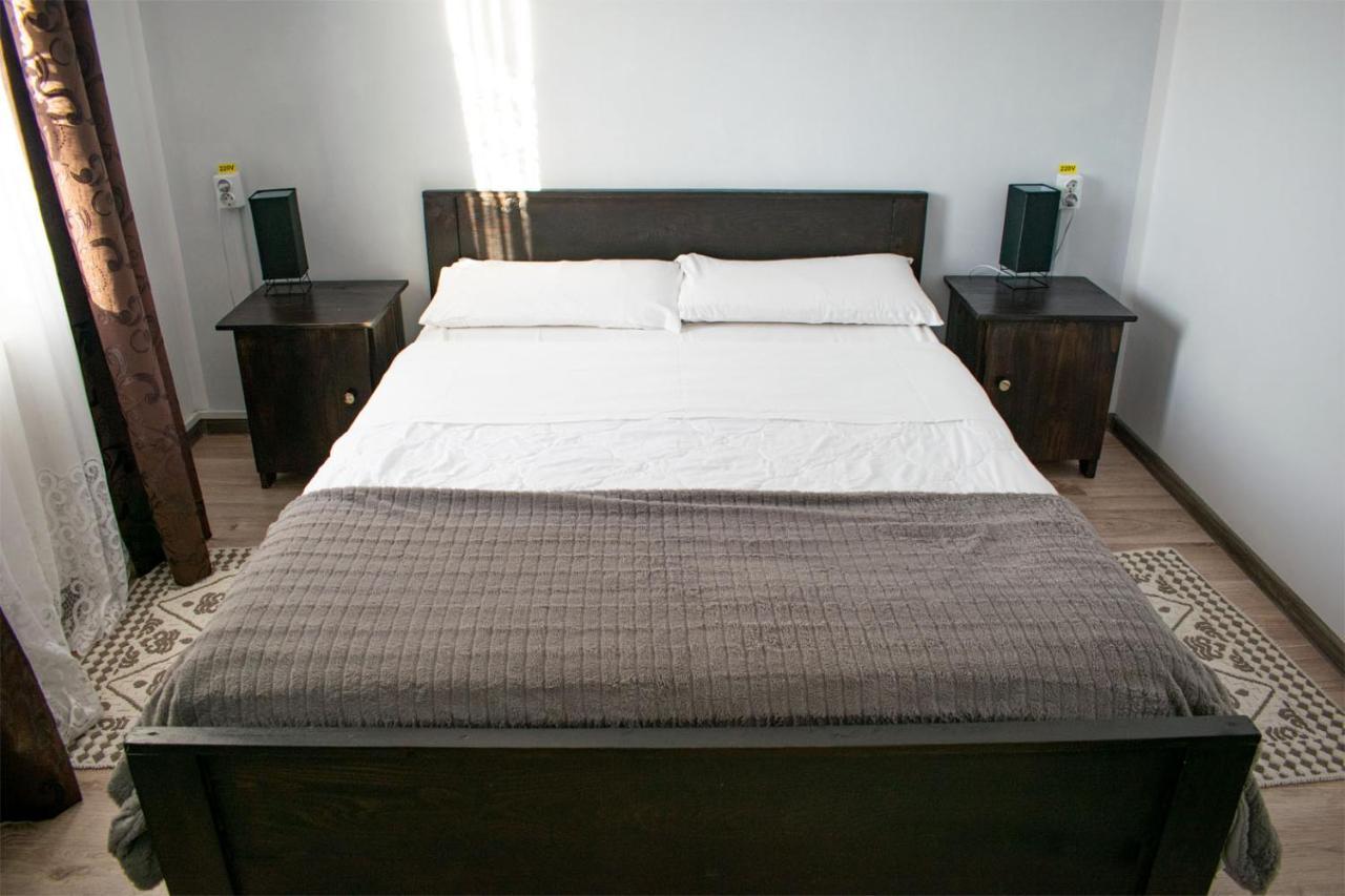 Casa Mocanitei Vişeu de Sus 外观 照片