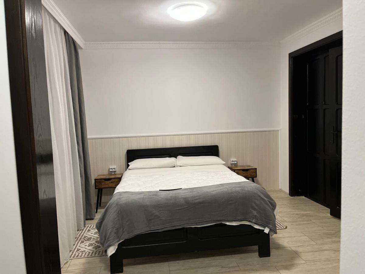Casa Mocanitei Vişeu de Sus 外观 照片