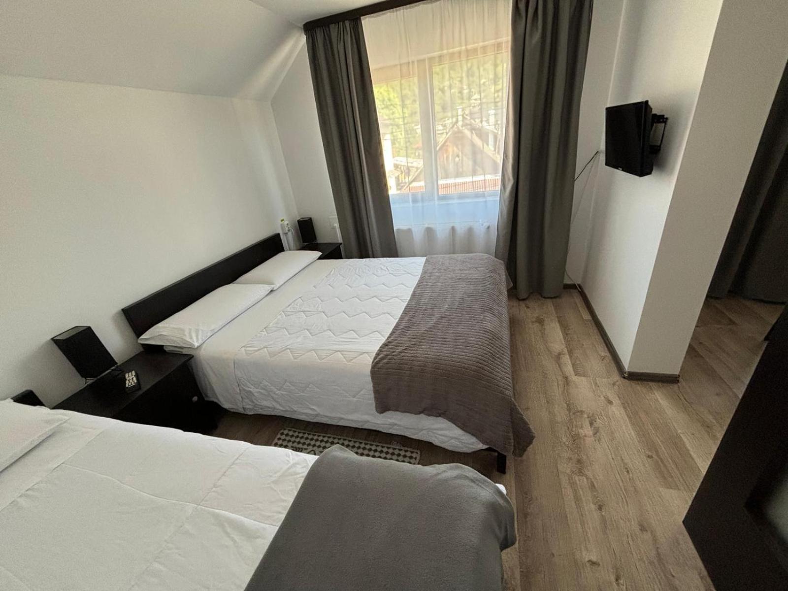 Casa Mocanitei Vişeu de Sus 外观 照片