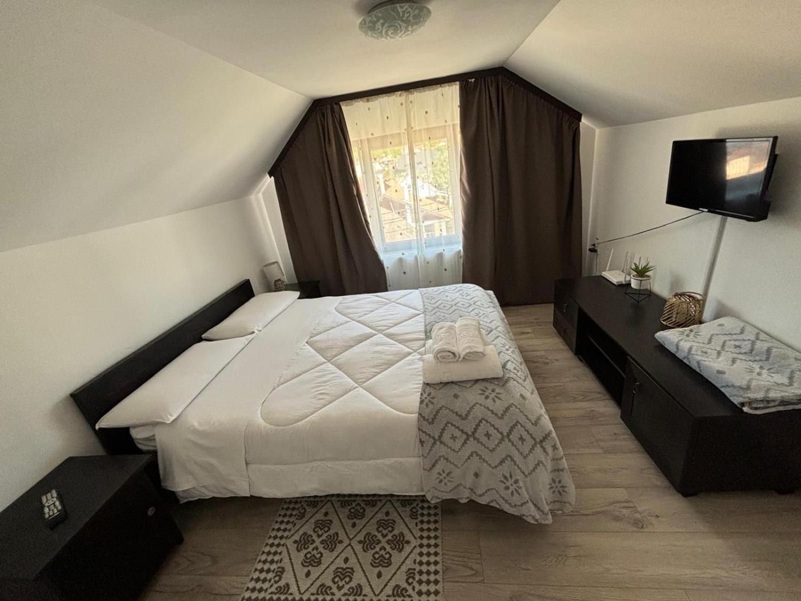 Casa Mocanitei Vişeu de Sus 外观 照片